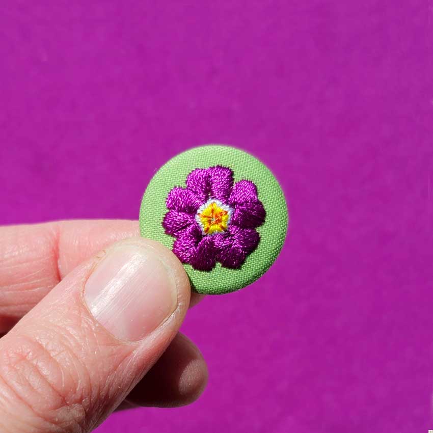 Primevère violette
